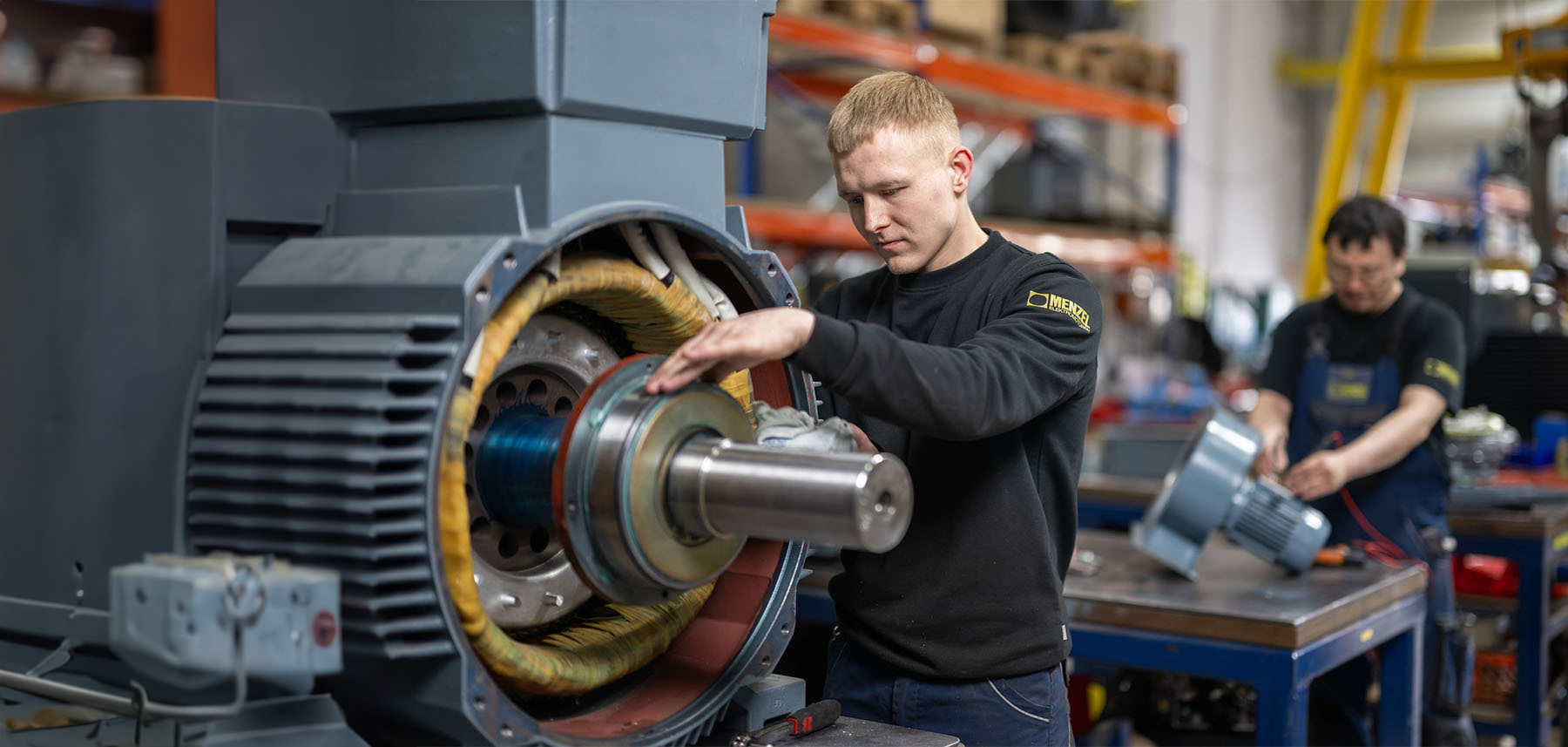 Overhauling of an electric motor Overhauling of an electric motor